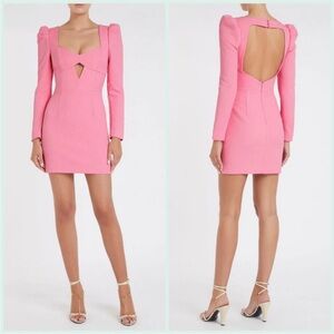 Rebecca Vallance Jaclyn Mini Dress (Size : 4)